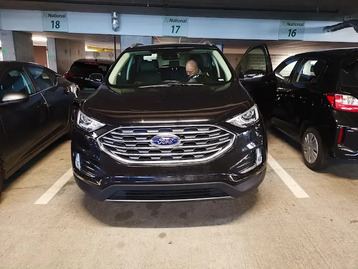 Alamo Rent A Car Picture 4