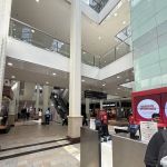 Avis Car Rental