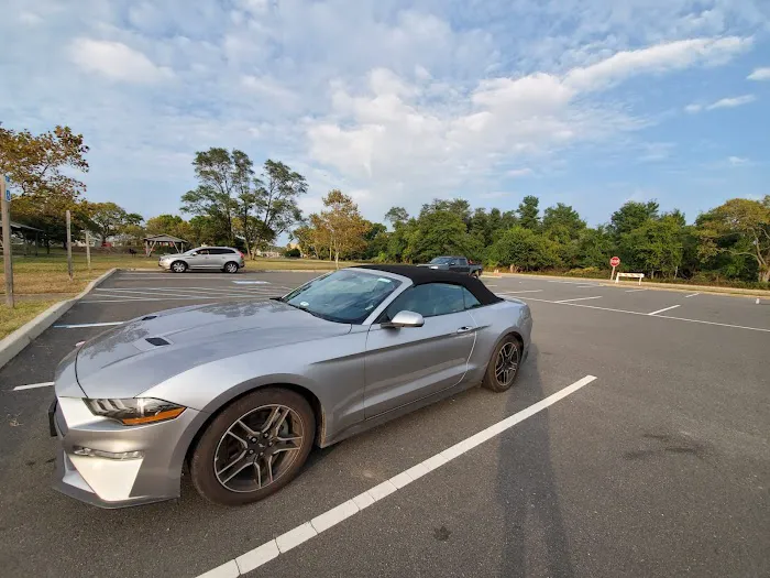 Avis Car Rental Picture 4