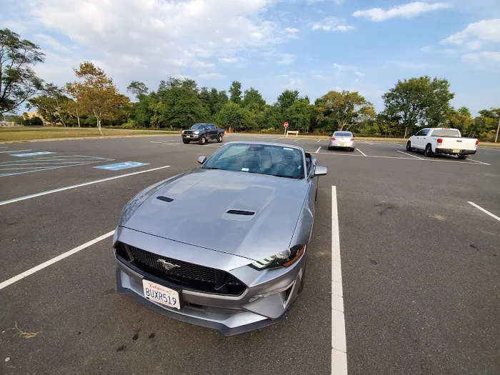 Avis Car Rental Picture 8