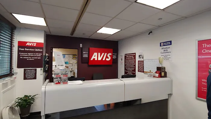 Avis Car Rental Picture 6
