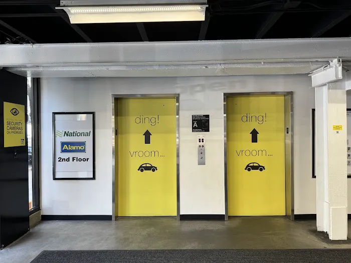 Alamo Rent A Car Picture 5