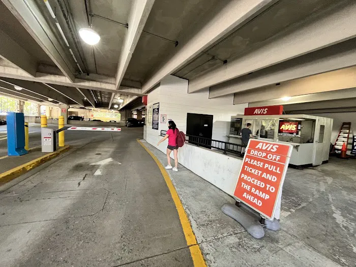 Avis Car Rental Picture 2