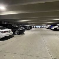 Avis Car Rental ico