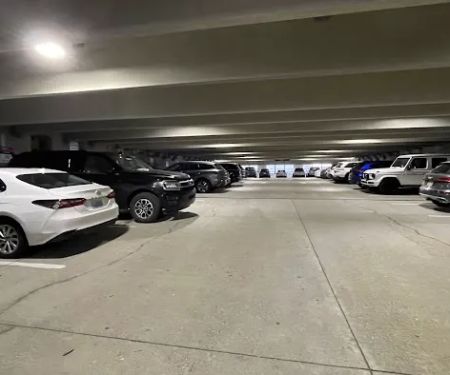 Avis Car Rental