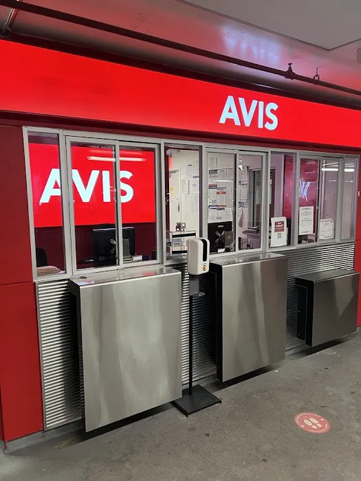 Avis Car Rental Picture 1