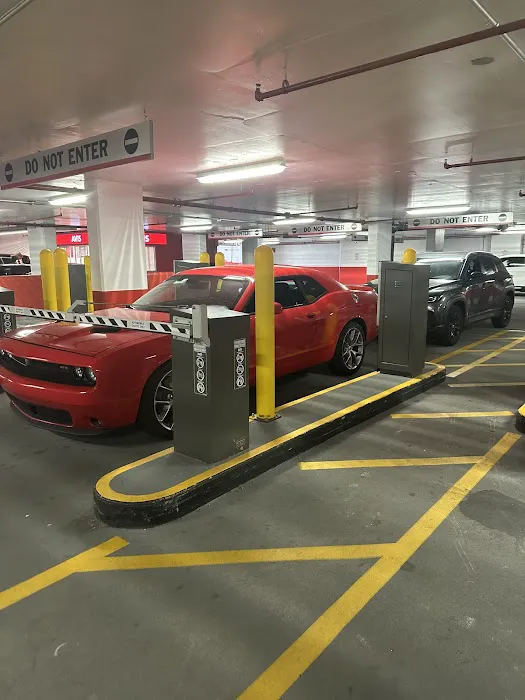 Avis Car Rental Picture 3