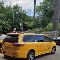 Drive Sally ico