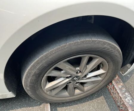 Avis Car Rental