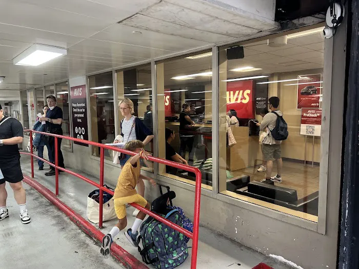 Avis Car Rental Picture 5