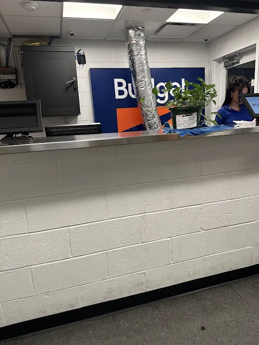 Budget Car Rental Picture 1