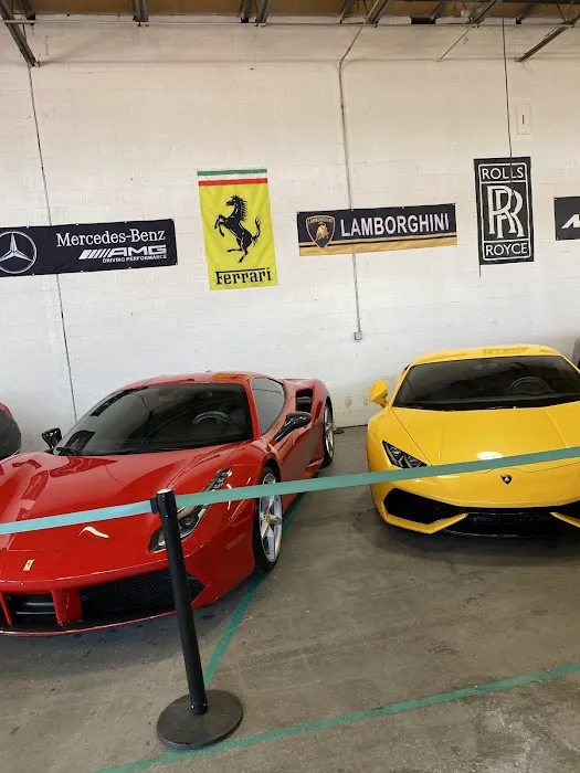 Cloud 9 Exotics Picture 1