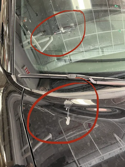 Avis Car Rental Picture 7