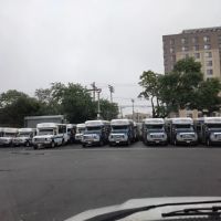 Maggies Paratransit Corp. ico