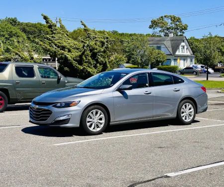 Avis Car Rental