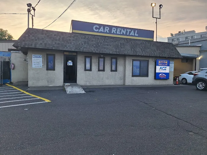 Drivo Rent A Car Picture 6