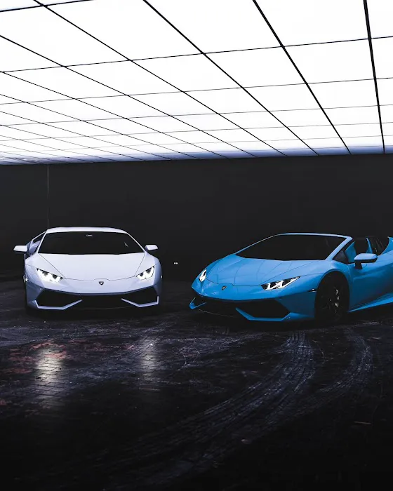 AAXOTICS PREMIUM CAR RENTALS Picture 2