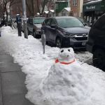 Rent a Car New York Travel Services