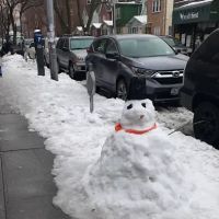 Rent a Car New York Travel Services ico