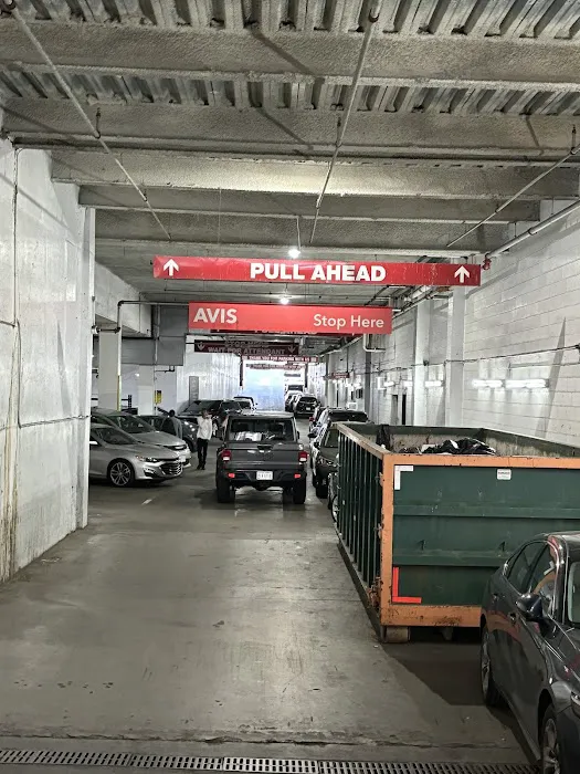 Avis Car Rental Picture 2