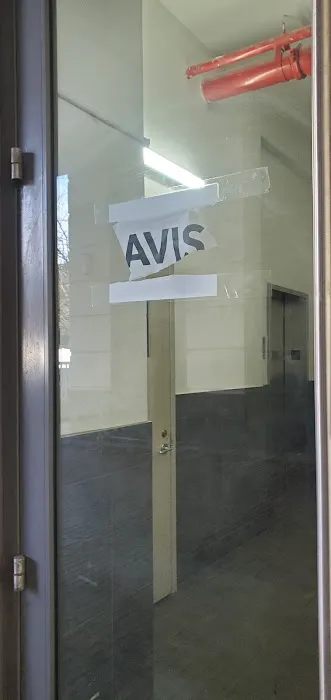 Avis Car Rental Picture 4