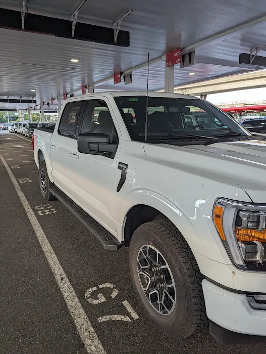 Payless Car Rental Picture 1