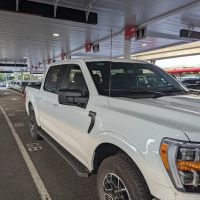 Payless Car Rental ico