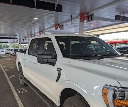 Payless Car Rental