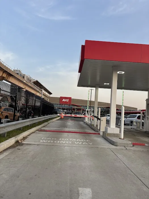 Avis Car Rental Picture 2