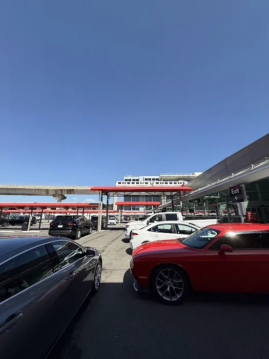 Avis Car Rental Picture 6