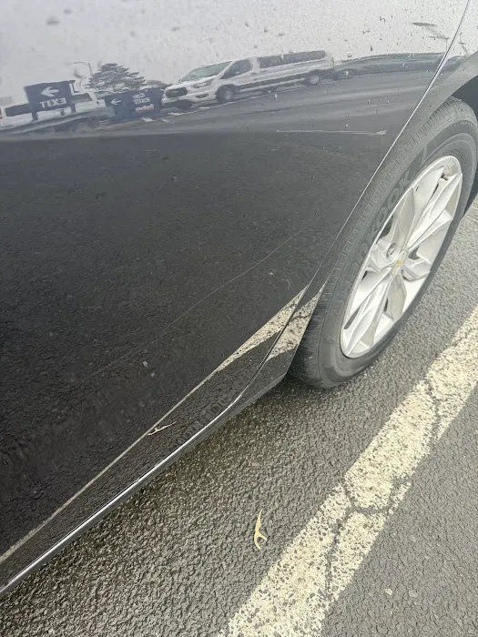Budget Car Rental Picture 1