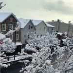 C C Travel & Multi Services