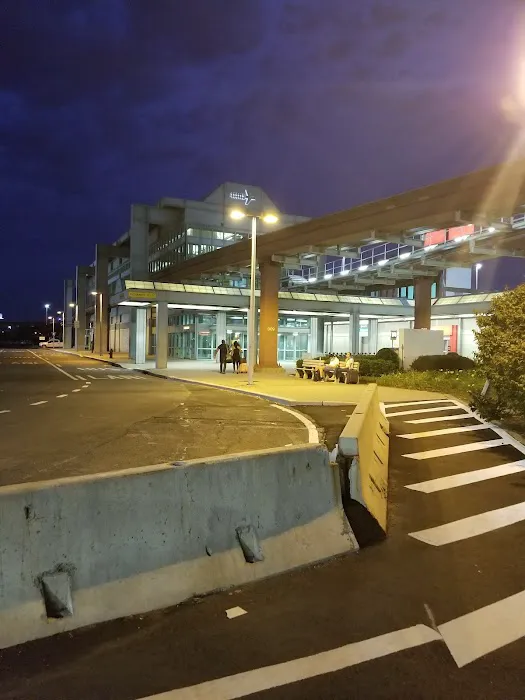 Payless Car Rental Picture 1