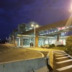 Payless Car Rental