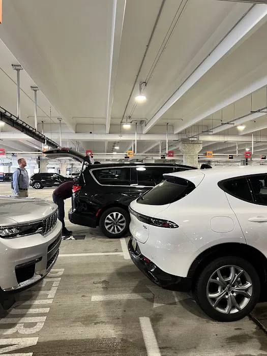 Avis Car Rental Picture 4