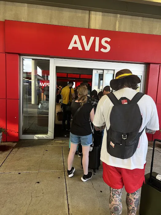 Avis Car Rental Picture 6