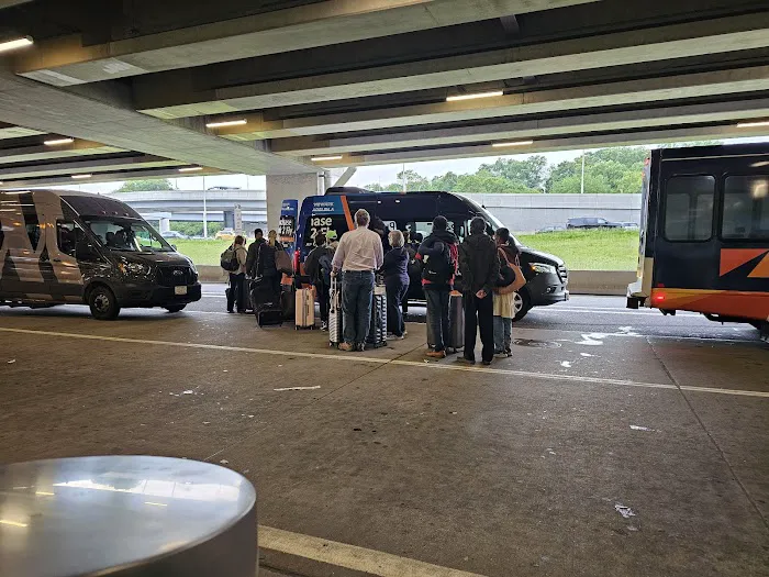 ACE Rent A Car Picture 4