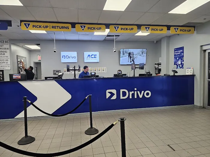 Drivo Rent A Car Picture 3