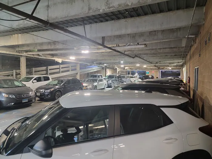 Drivo Rent A Car Picture 6