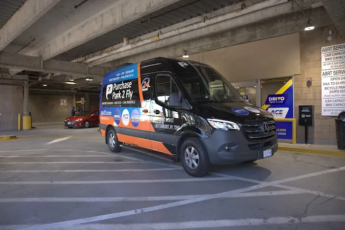 Drivo Rent A Car Picture 5