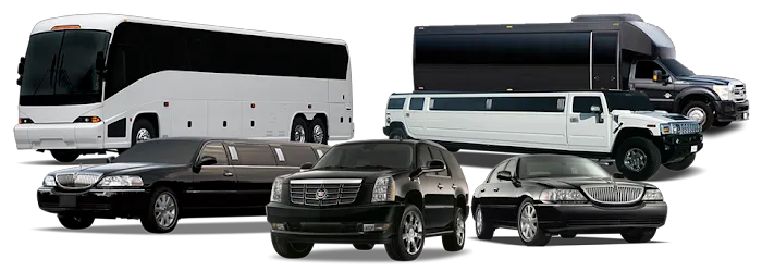 Cathay Express Transportation Picture 6