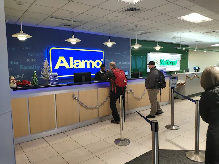 Alamo Rent A Car Picture 7