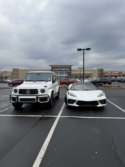 Maximus Rentals Picture 4