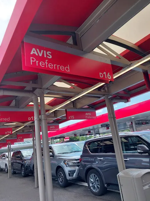 Payless Car Rental Picture 4