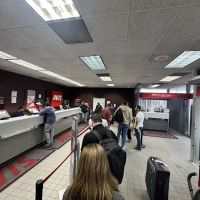 Avis Car Rental ico