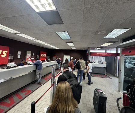 Avis Car Rental