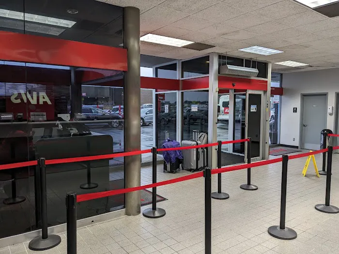 Avis Car Rental Picture 4