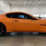 Magee Exotics