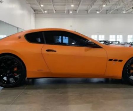 Magee Exotics