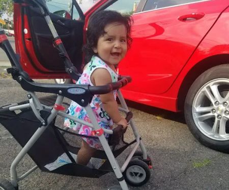 Avis Car Rental